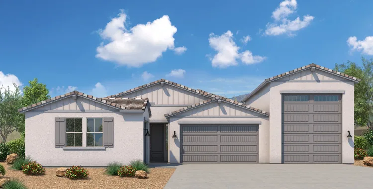 DESERT ROSE B - MODERN FARMHOUSE