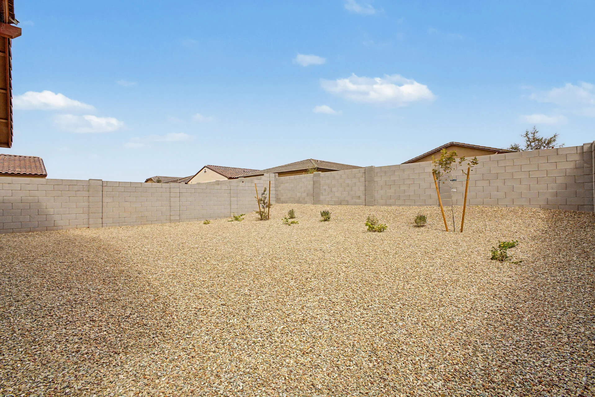 26 - Lot 43 Backyard 1